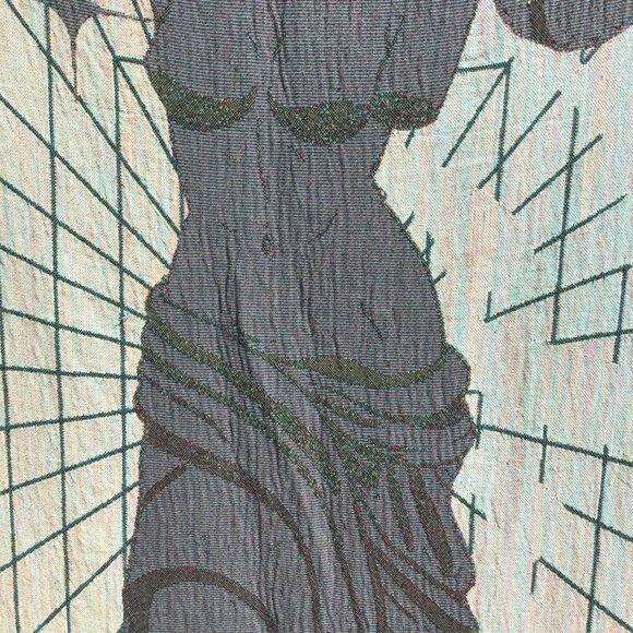 Venus de Milo Bust Woven Blanket Tapestry Greek Art History Nude Feminine Planet - Picture 9 of 11